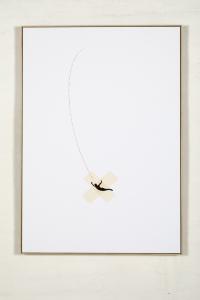Mauro Ghiglione, The fall, 2020, stampa UV su carta Fabriano 200g montata su dibond, 100 x 70 cm 
